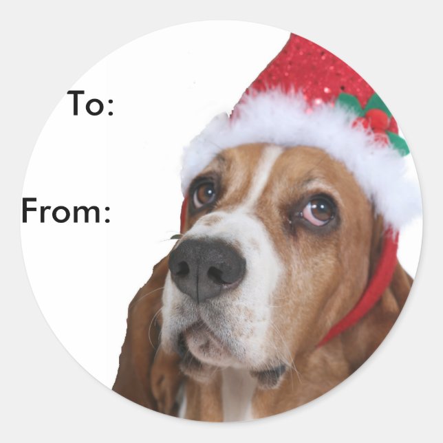 Beagle Puppy Gift Tags (Front)