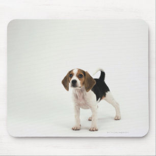 Beagle puppy mouse pad