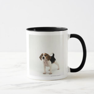 Beagle puppy mug