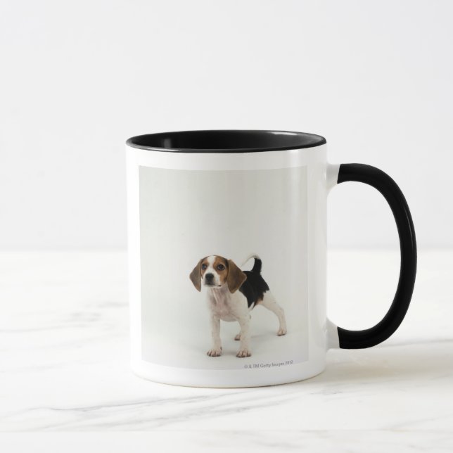 Beagle puppy mug (Right)