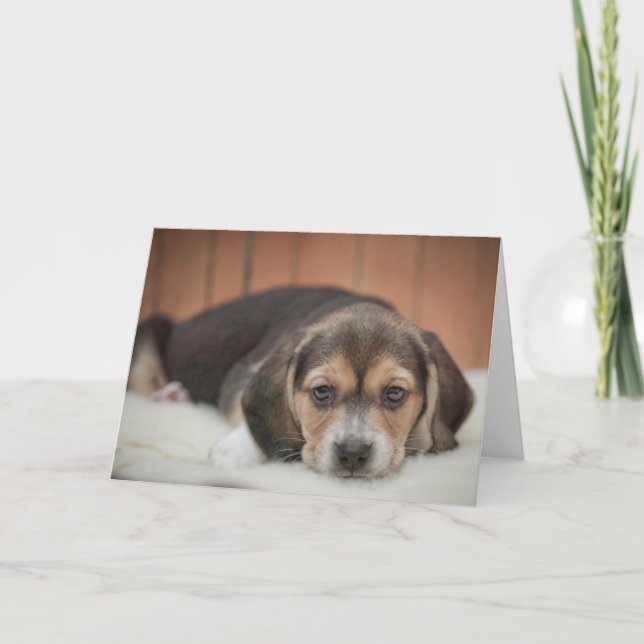 Beagle Puppy Nighty Night Card (Front)
