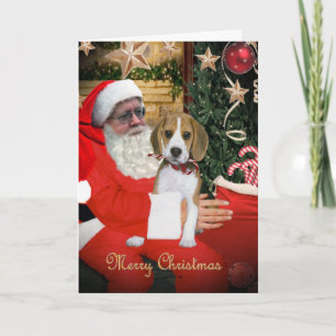 Beagle Puppy on Santa's Lap Cards