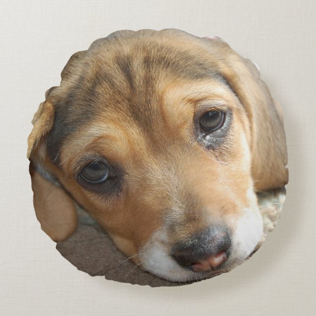 Beagle Puppy Pillow (Front)