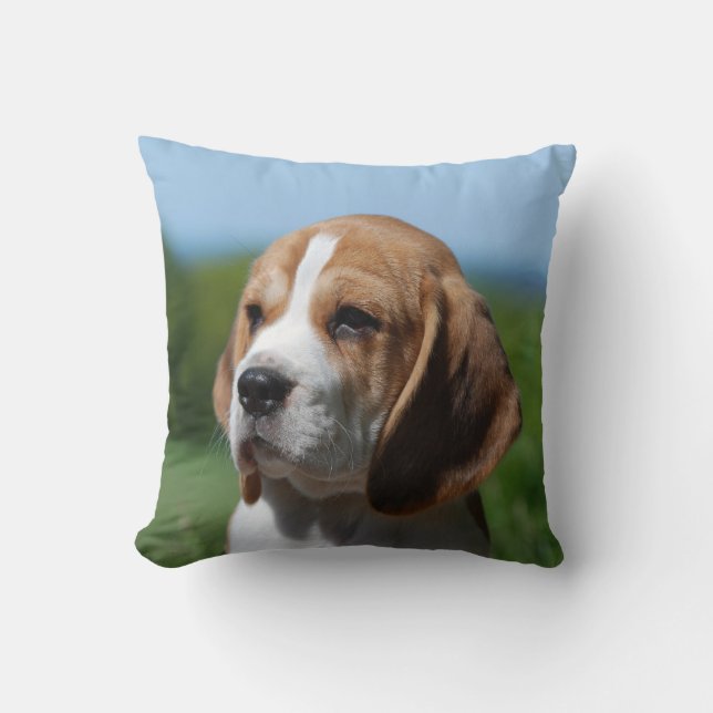 Beagle Puppy  Pillow (Front)