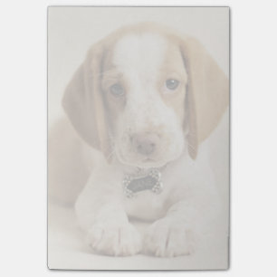 Beagle Puppy Post-it Notes
