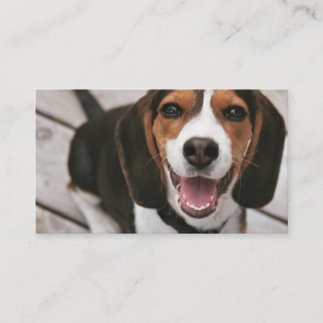 Beagle_puppy sitting business card (Front)