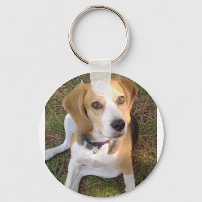 Beagle sitting 2 key ring (Front)