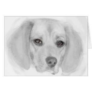 Beagle Sketch Blank Note Card