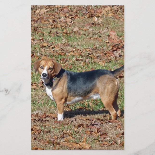 Beagle Stationery (Front)