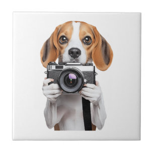 Beagle Tile