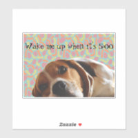 Beagle Wake Me Up
