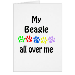 Beagle Walks Design