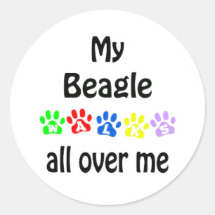 Beagle Walks Design Classic Round Sticker