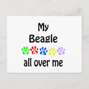 Beagle Walks Design Postcard