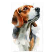 Beagle watercolor portrait