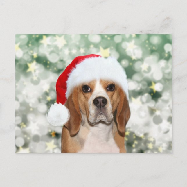 Beagle wearing a Santa hat Christmas Postcard (Front)