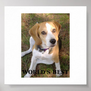 beagle worlds best poster