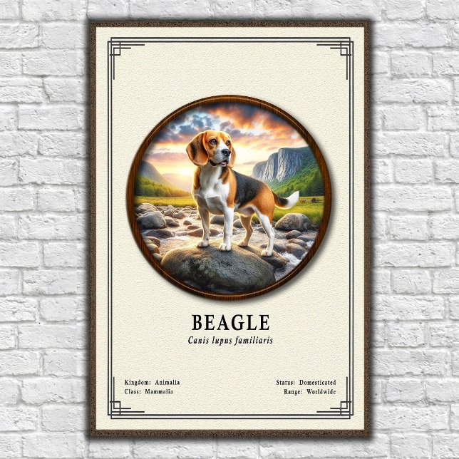Beagle Zoology Series Poster (Creator Uploaded)