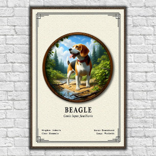 Beagle Zoology Series Poster