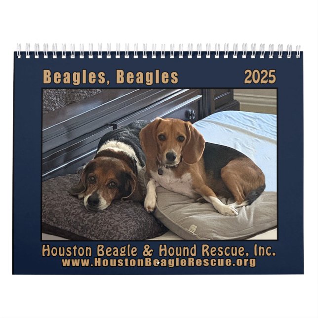 Beagles 2025 Wall Calendar (Cover)