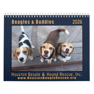 Beagles and Buddies 2026 Calendar