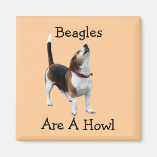 Beagles Are A Howl Funny Dog Magnet