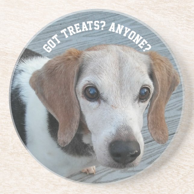 Beagles Love Treats Funny Dog Gift Coaster (Front)
