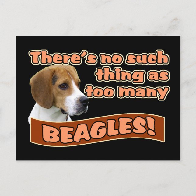 BEAGLES POSTCARD (Front)
