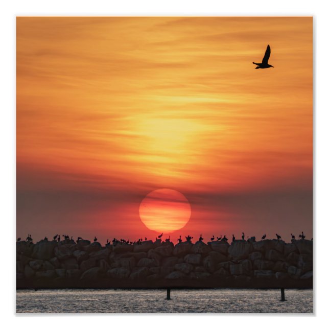 Beaitiful Sunset Colors - Marina Del Rey, CA Photo Print (Front)