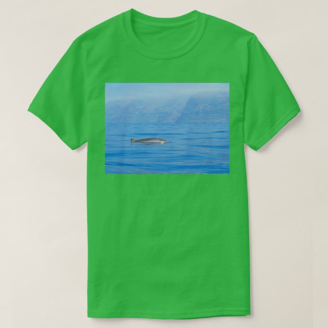 Beaked whale in the mist T-Shirt (Design Front)