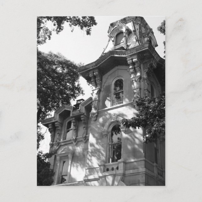 Beale n Blues Series Postcard (Front)