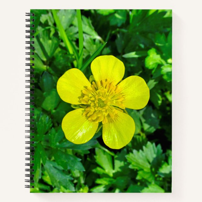 Beaming Buttercup Flower. Notebook (Front)
