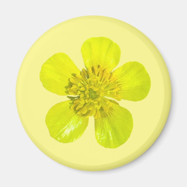 Beaming Buttercup Flower - transparent. Magnet (Front)