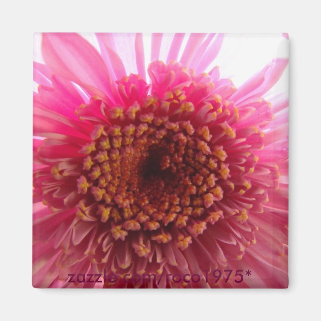 Beaming Magnet (Front)