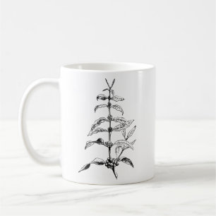 Bean Coffee Plant Botanical Coffee Nature Mug