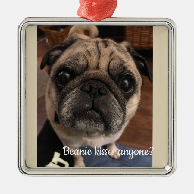 Beanie kissea anyone? metal tree decoration (Front)