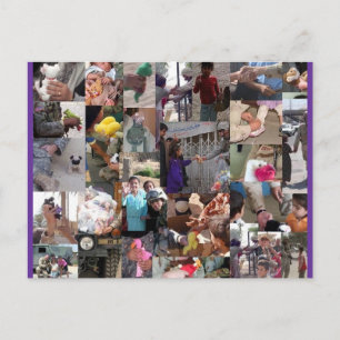 Beanies For Our Troops Postcard