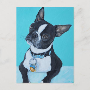 Beans the Boston Terrier Painting Postcard