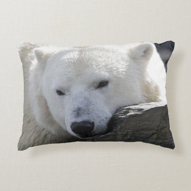 Bear 002 decorative cushion (Front)