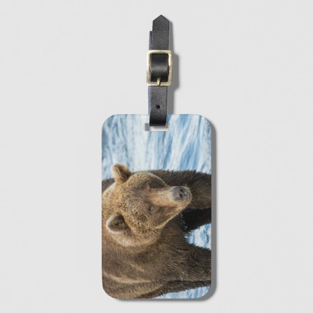 Bear 503 Luggage Tag (Front Vertical)