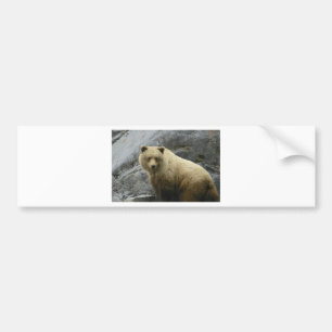 Bear Alaska Animals Destiny Nature Bumper Sticker