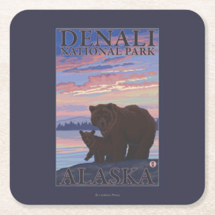 Bear and Cub - Denali National Park, Alaska Square Paper Coaster