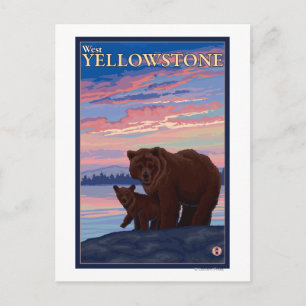 Bear and Cub - West Yellowstone, Montana Postcard