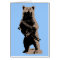 Bear arms Grizzly Bear