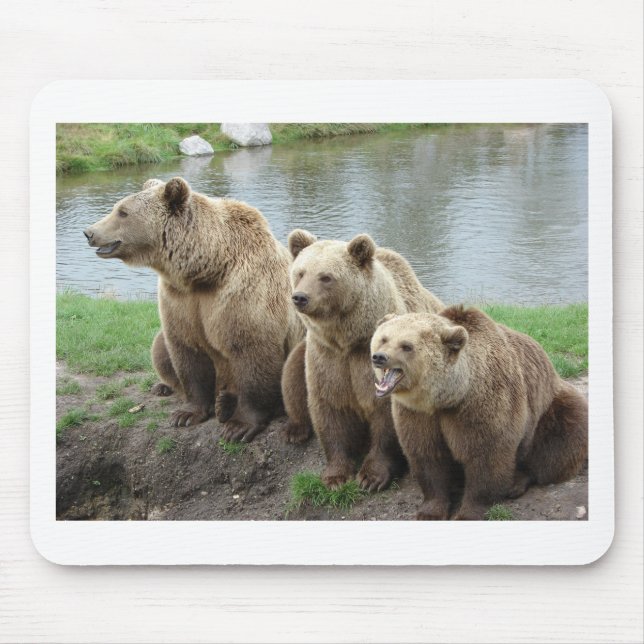 Bear bears animal custom personalise Anniversaries Mouse Pad (Front)