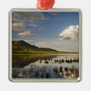 Bear Butte reflects into Bear Butte Lake near Metal Tree Decoration