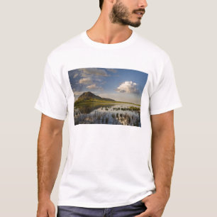 Bear Butte reflects into Bear Butte Lake near T-Shirt