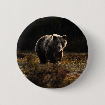 Bear Button