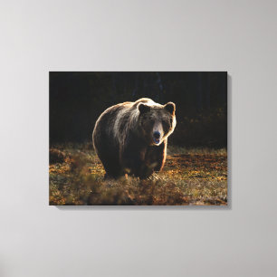 Bear Canvas Print