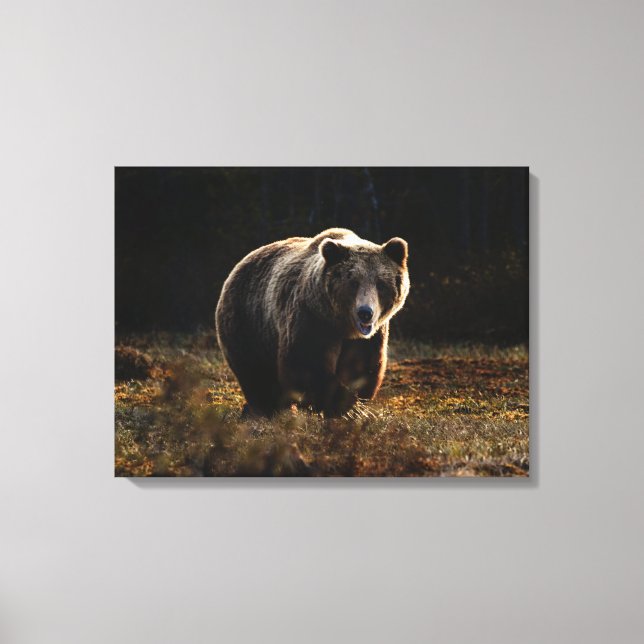 Bear Canvas Print (Front)